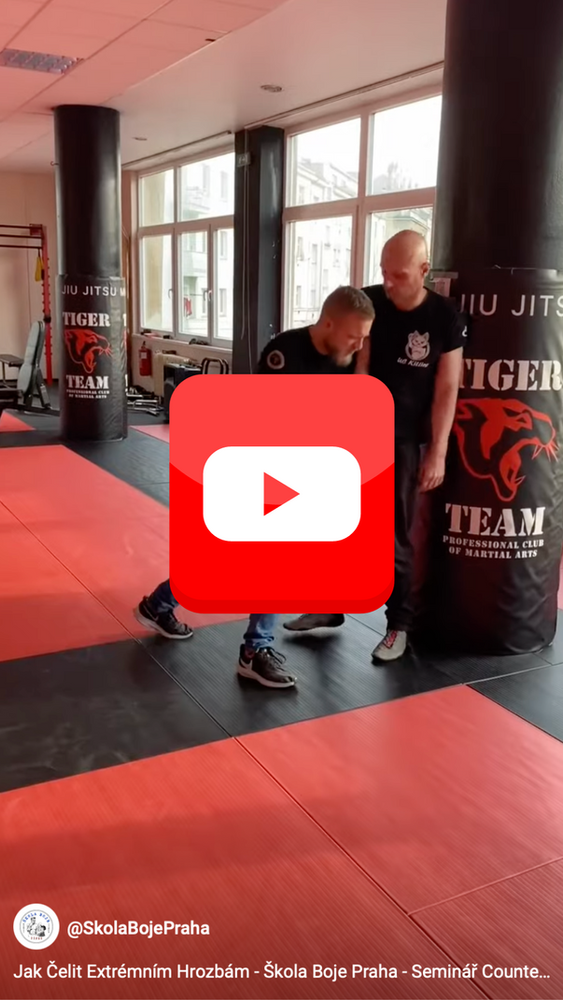 Náhled videa ze semináře Libre Fighting
